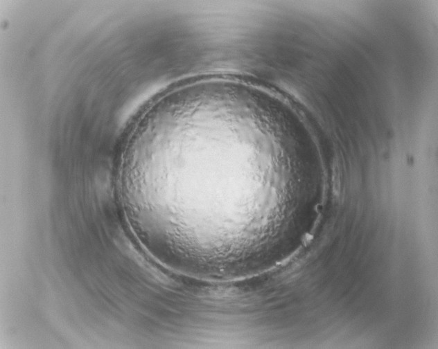 X0000056031452200508261854