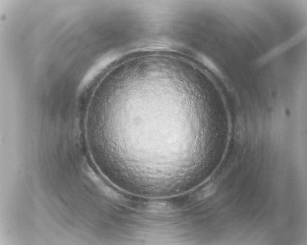 X0000056031456200508261854