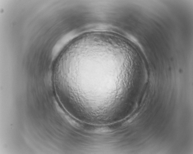 X0000056031464200508261854