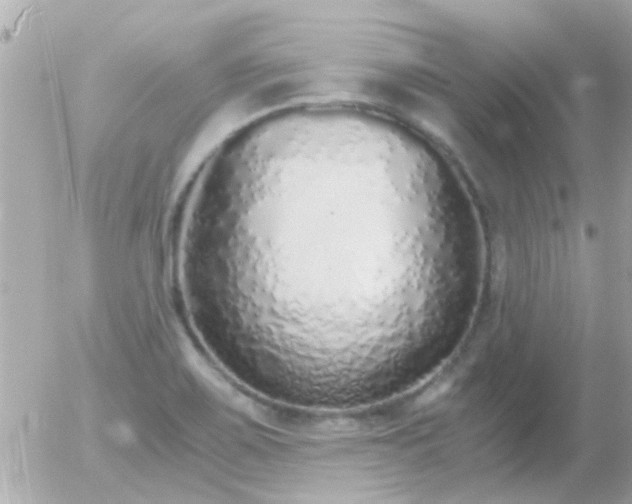 X0000056031467200508261854
