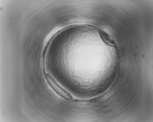 X0000056031472200508261854