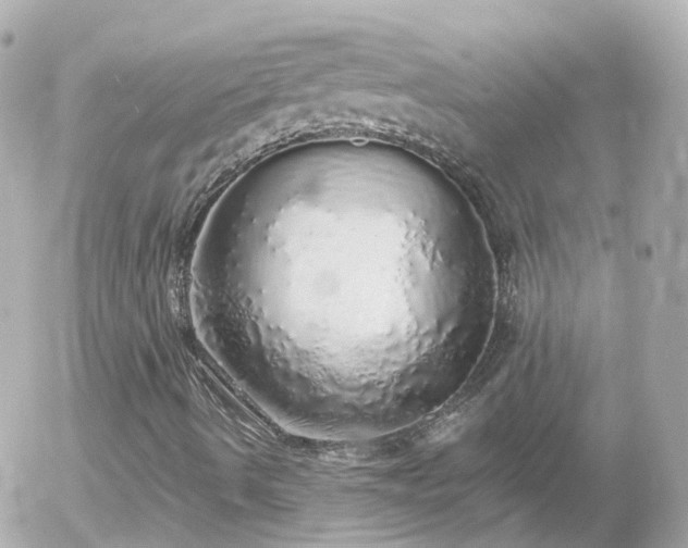 X0000056031490200508261853