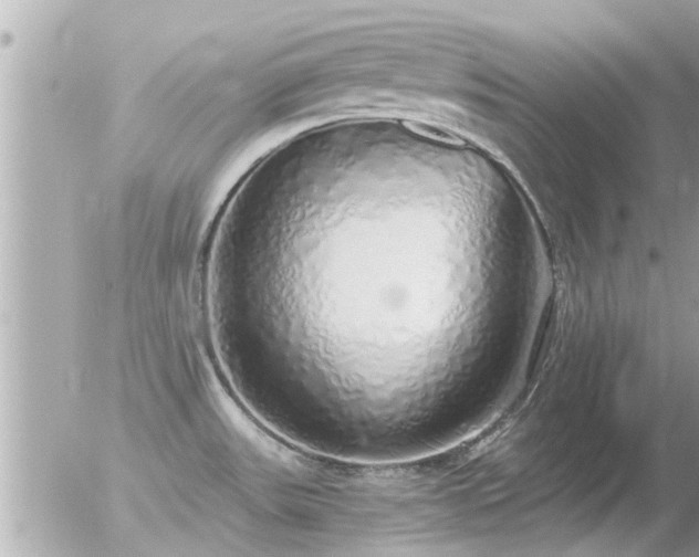 X0000056031531200508261854