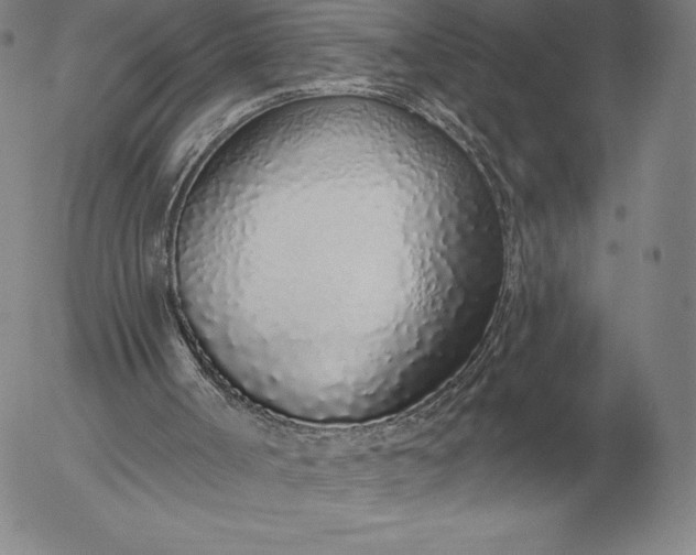 X0000056030002200509021834