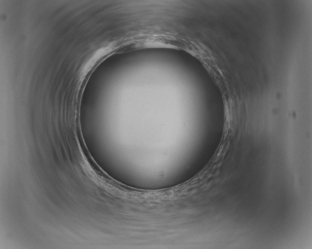 X0000056030003200509021834