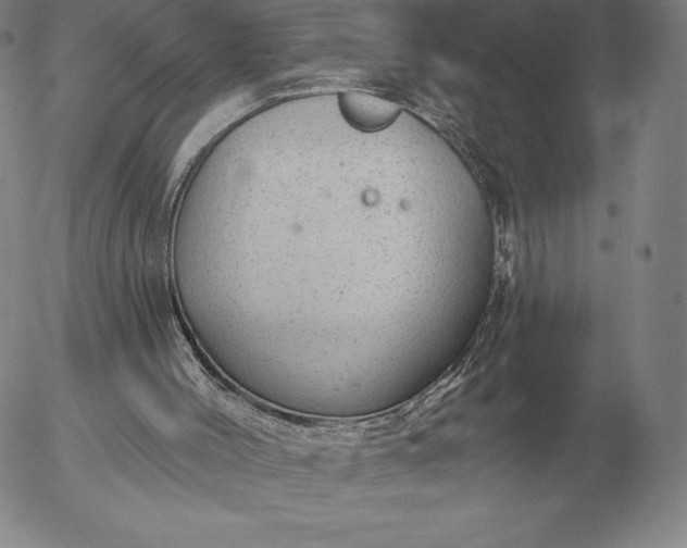 X0000056030004200509021834