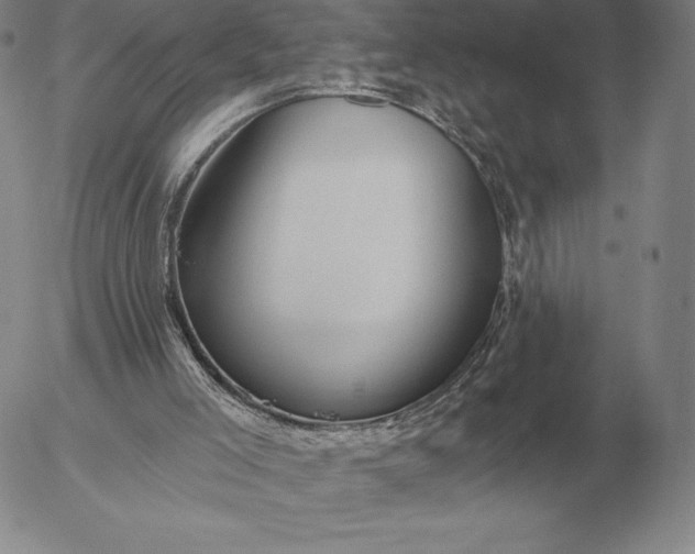 X0000056030005200509021834