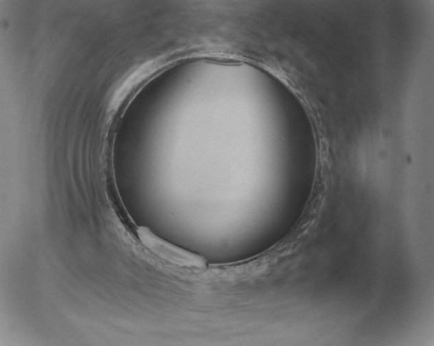 X0000056030007200509021834