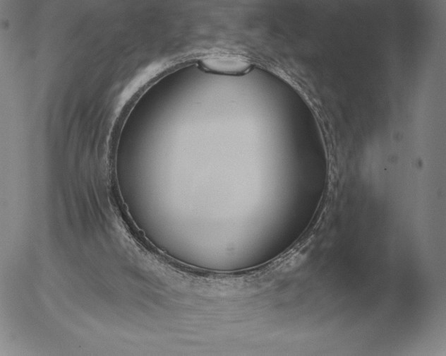 X0000056030008200509021834