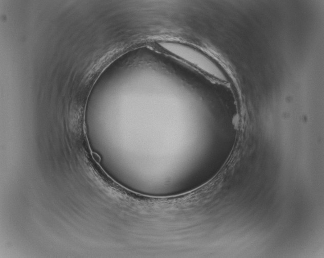 X0000056030009200509021834