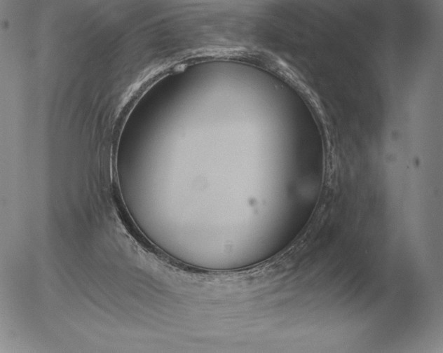 X0000056030011200509021834