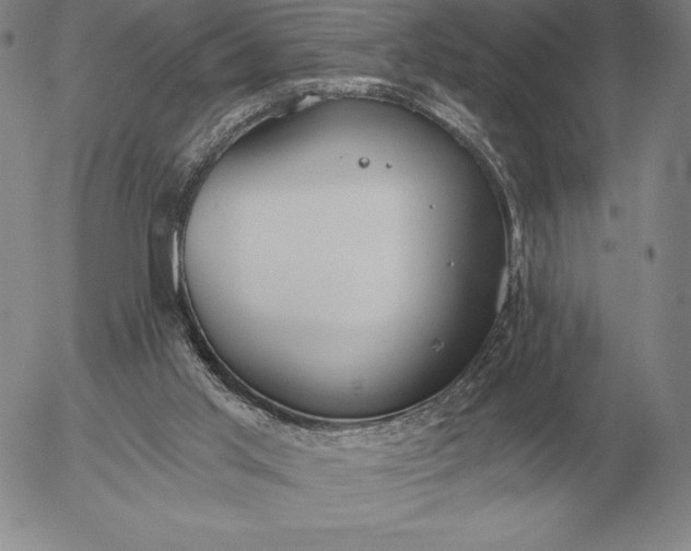 X0000056030013200509021833