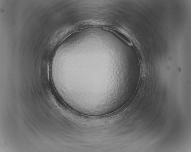 X0000056030014200509021833