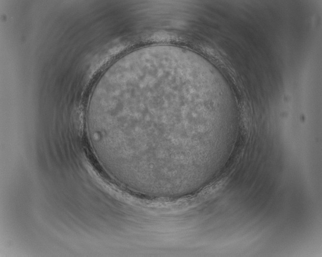 X0000056030016200509021833