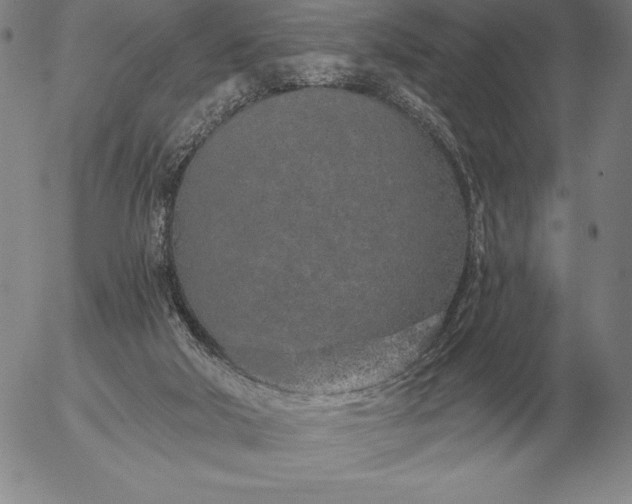 X0000056030018200509021833