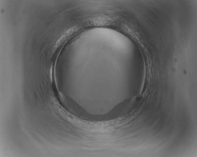 X0000056030019200509021833