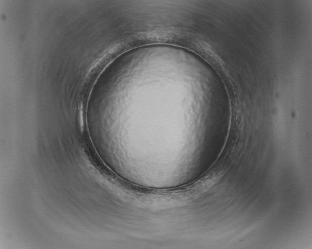 X0000056030020200509021833