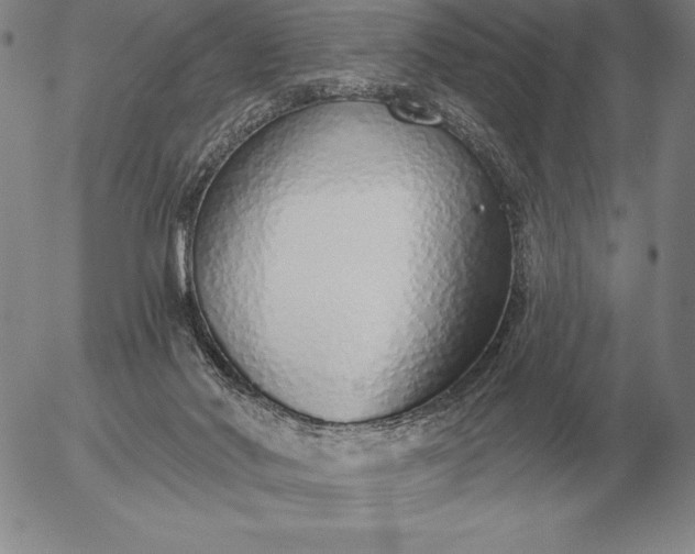 X0000056030022200509021833