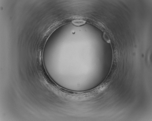 X0000056030024200509021833