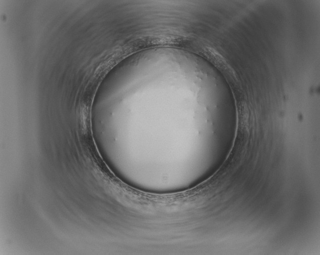 X0000056030026200509021833