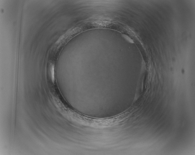 X0000056030027200509021833