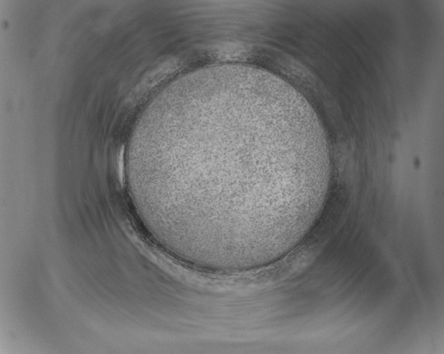 X0000056030028200509021833