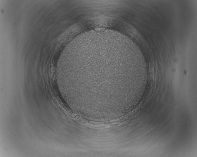 X0000056030029200509021833