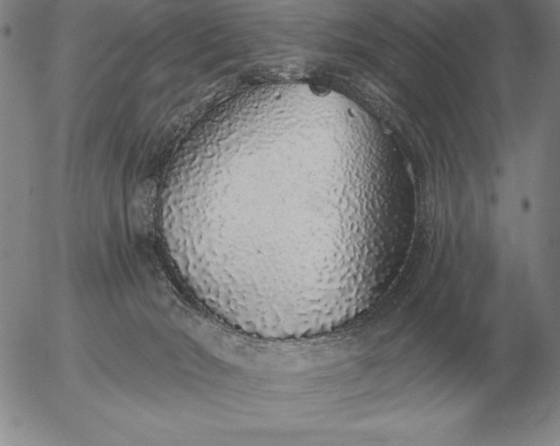 X0000056030030200509021833