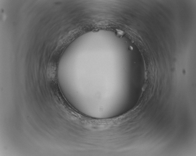 X0000056030033200509021833