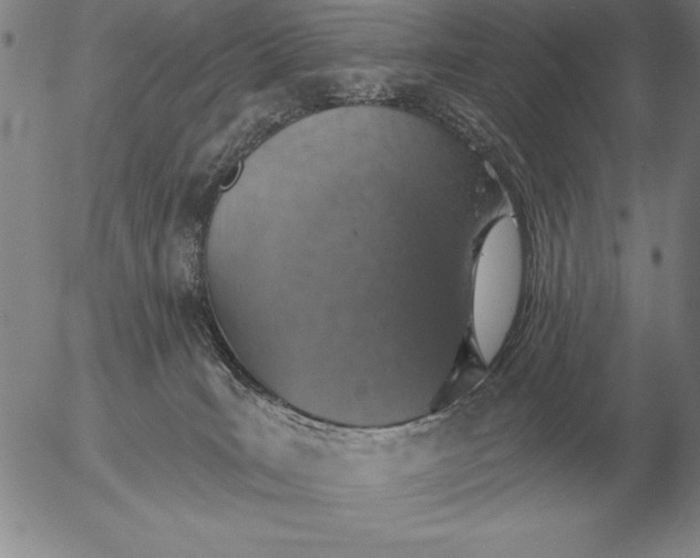 X0000056030035200509021833