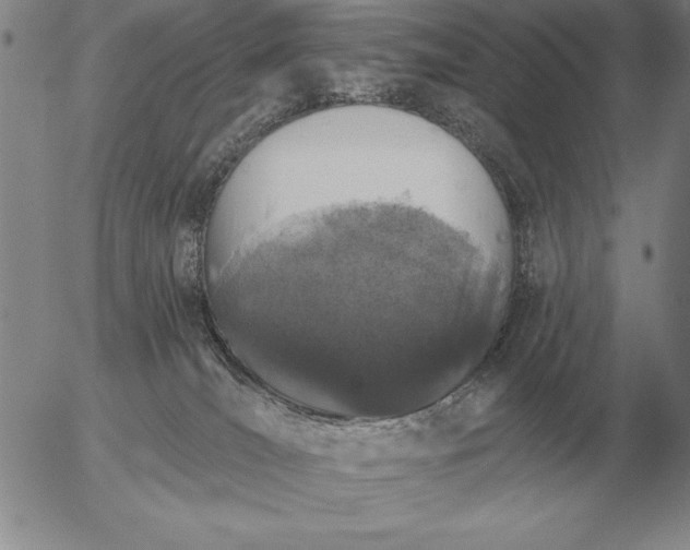 X0000056030036200509021833