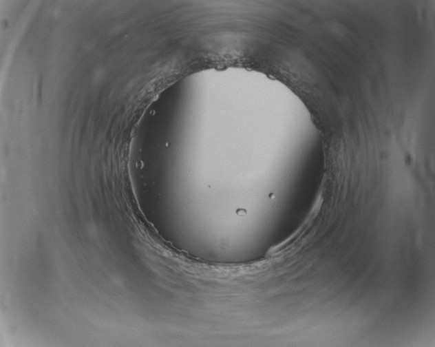 X0000056030037200509021833