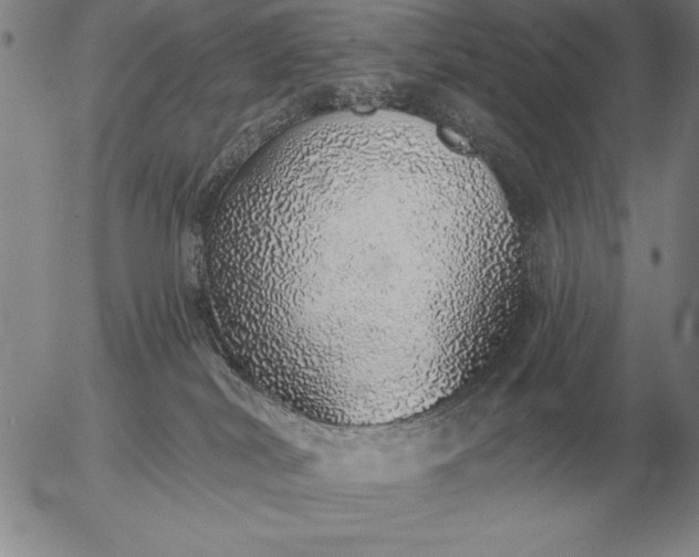 X0000056030038200509021833