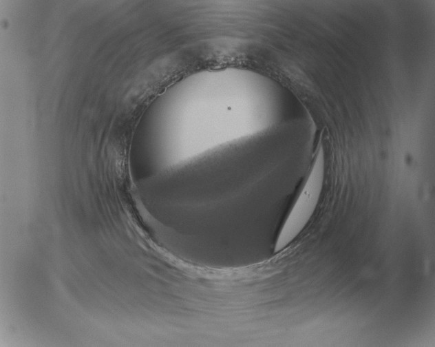 X0000056030039200509021833