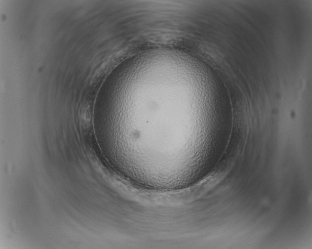 X0000056030040200509021833