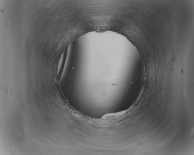 X0000056030041200509021833