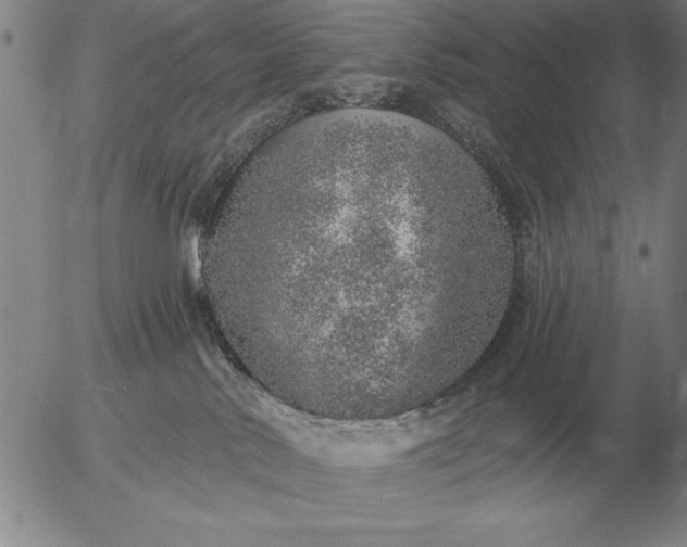 X0000056030042200509021833