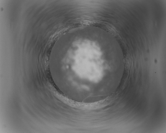 X0000056030043200509021833