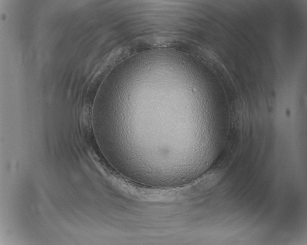 X0000056030044200509021833