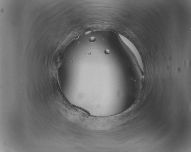 X0000056030045200509021833