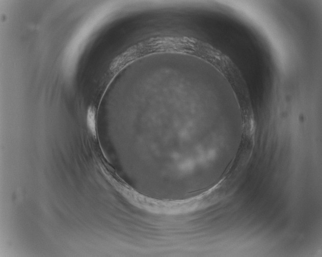 X0000056030047200509021833