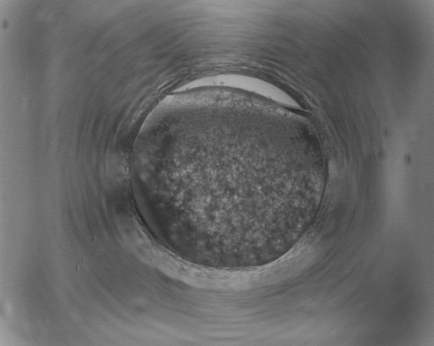 X0000056030048200509021833