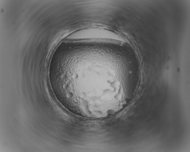 X0000056030049200509021832