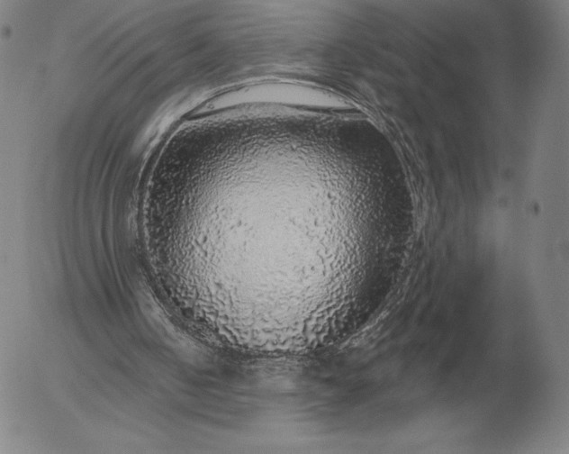 X0000056030050200509021832