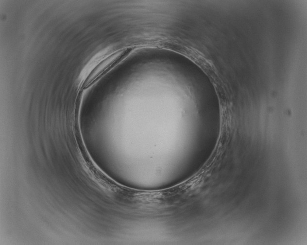 X0000056030051200509021832