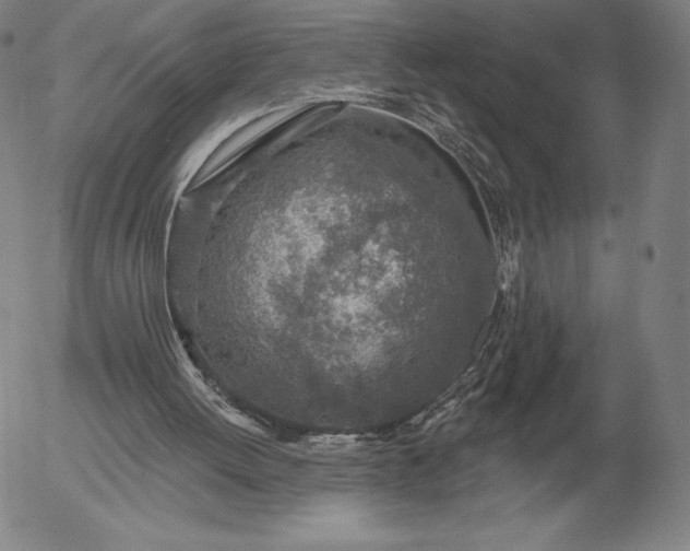 X0000056030052200509021832