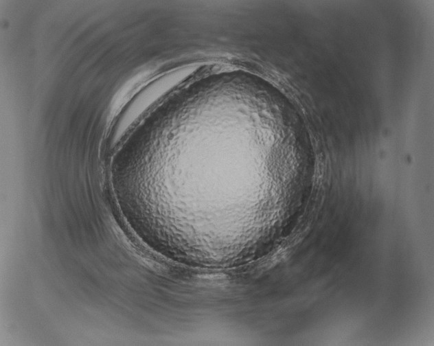 X0000056030053200509021832