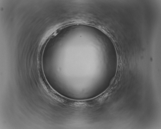 X0000056030055200509021832