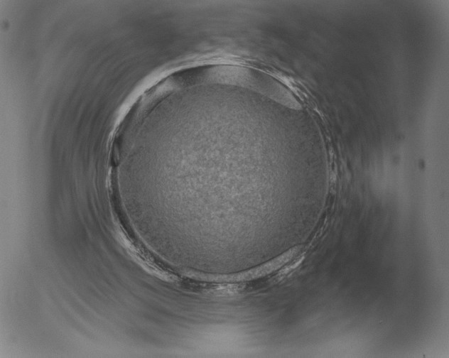 X0000056030056200509021832