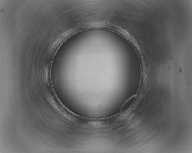 X0000056030057200509021832